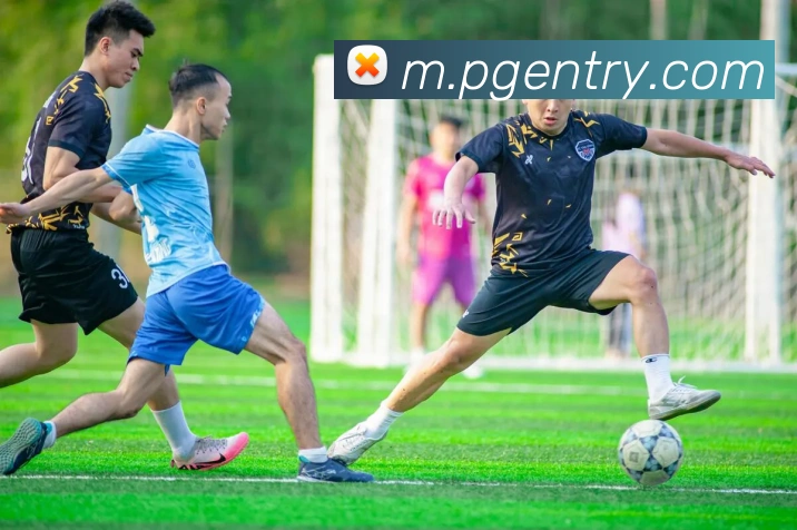 PG官网全站App
